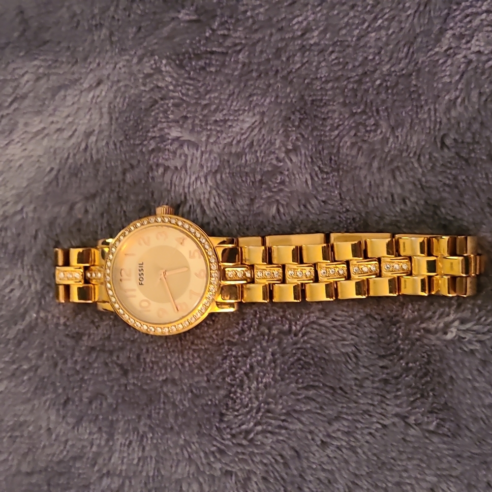 Fossil watch